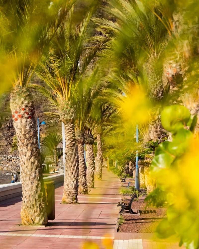 Appartamento El Balcon De Colon San Sebastián de la Gomera Esterno foto